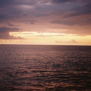 Meet your Posher, Dianna